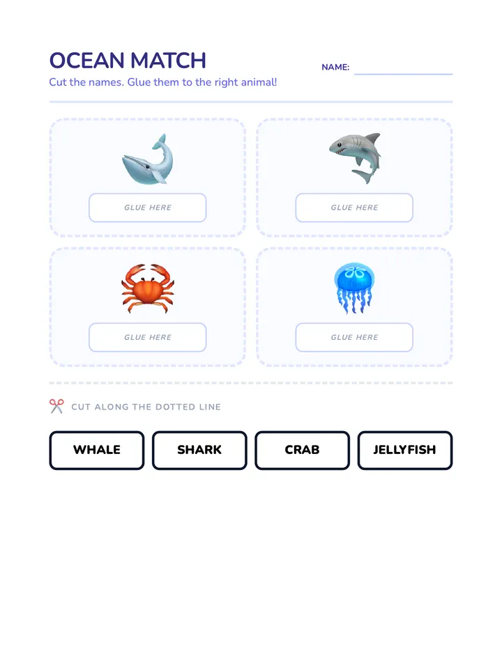 Ocean Match Activity