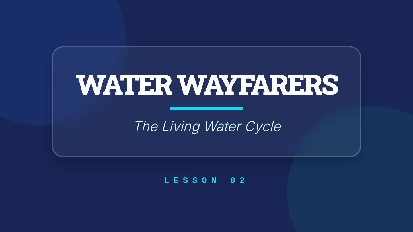 Water Wayfarers Slides High Visibility