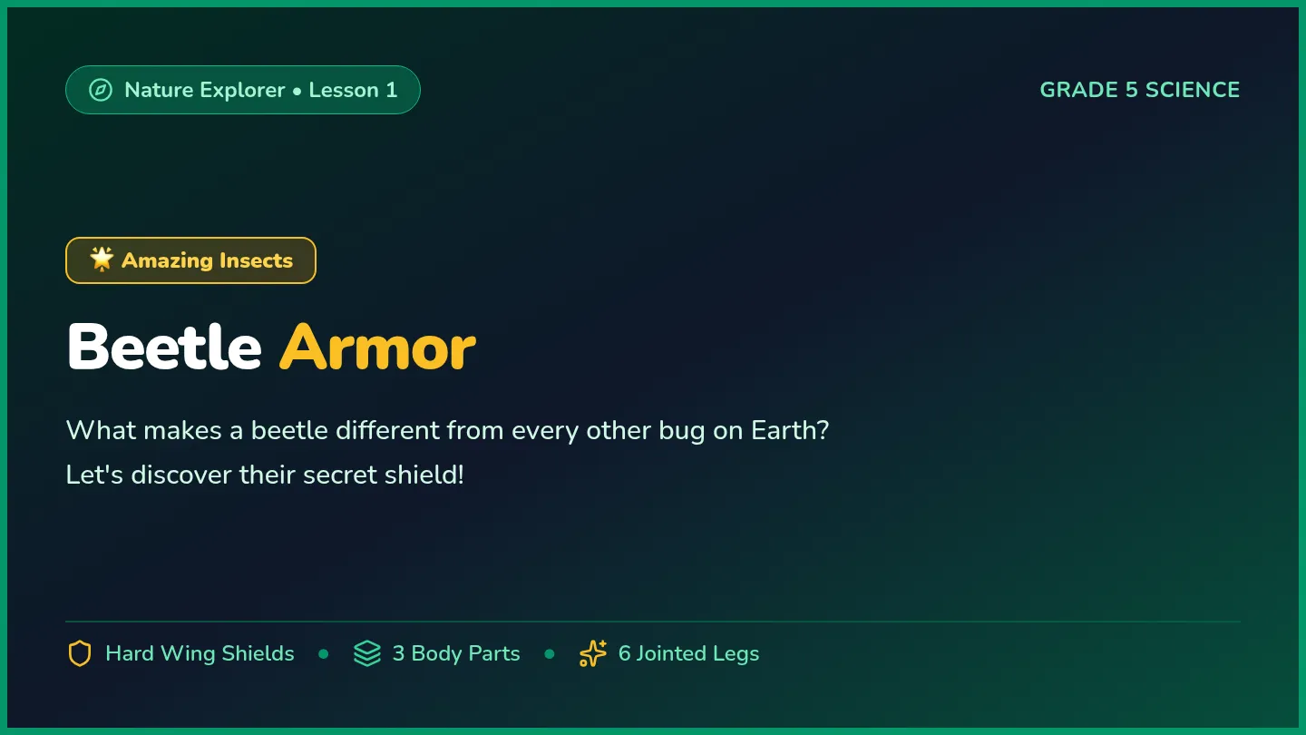 Beetle Armor Slides