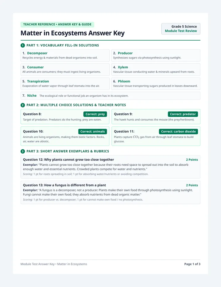 Ecosystem Review Answer Key