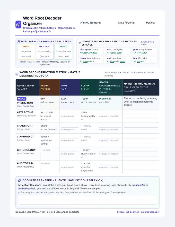 Root Decoder Graphic Organizer