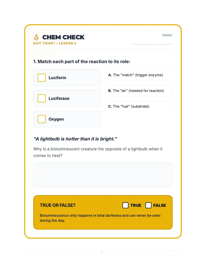 Chem Check Exit Ticket