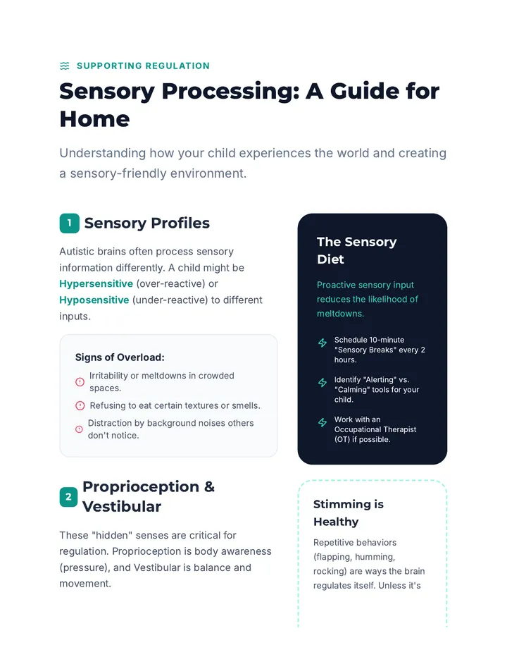 Sensory Processing Guide