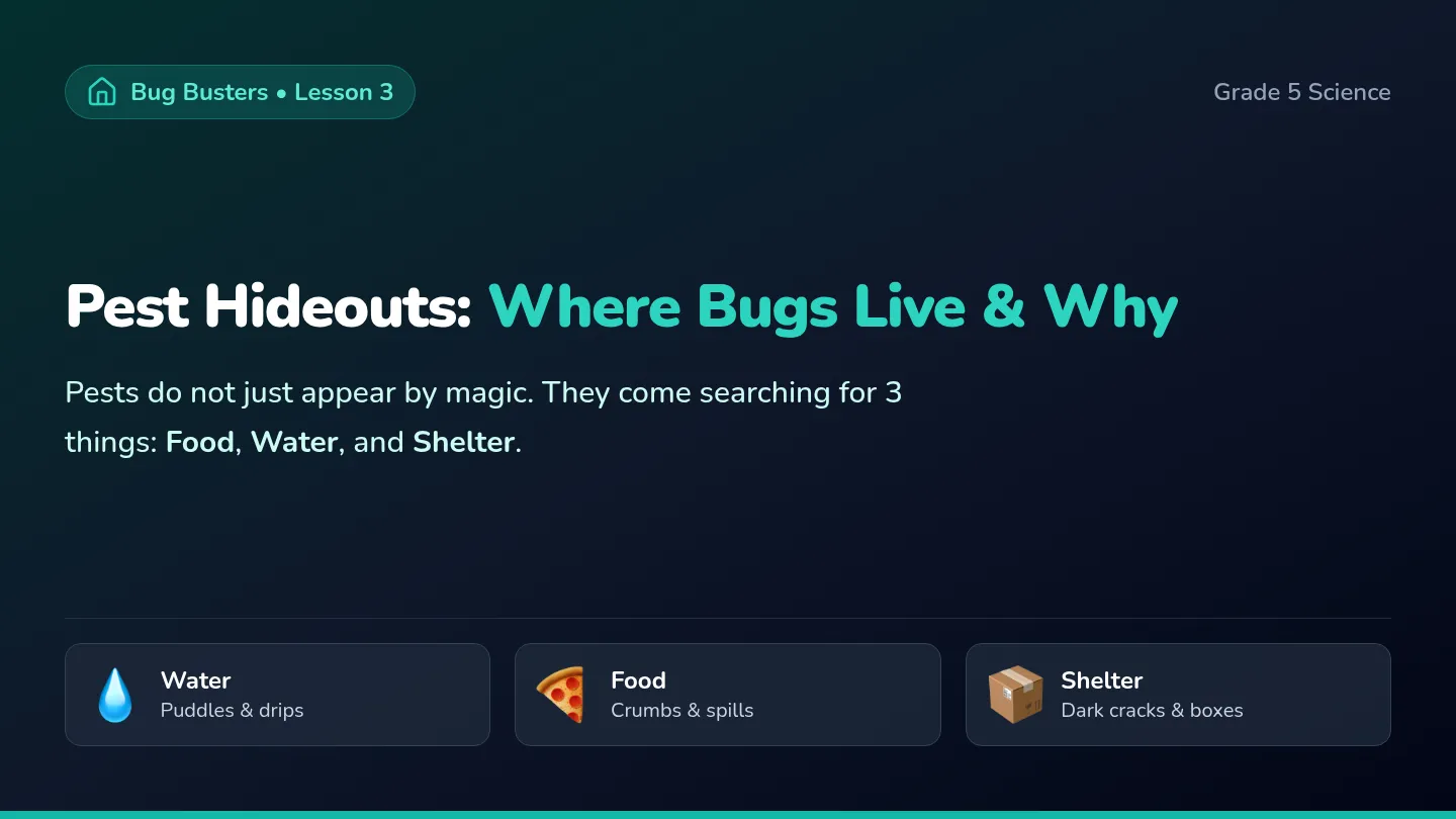 Bug Havens Slides