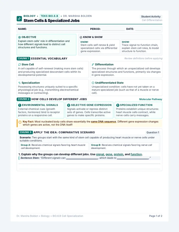 Cell Specialization Worksheet