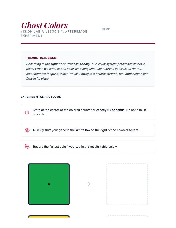Afterimage Experiment Sheet