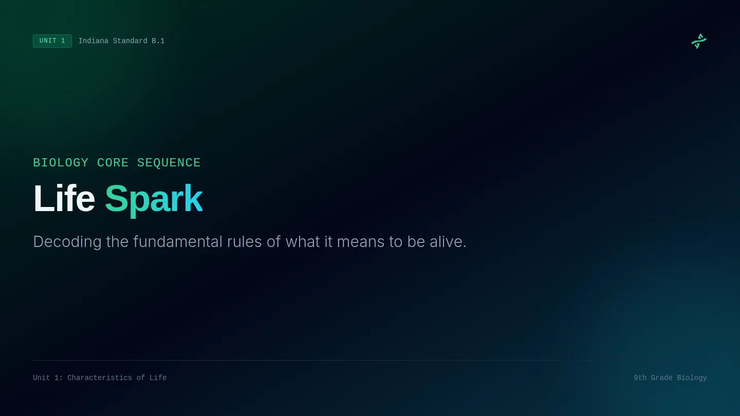 Life Spark Slides
