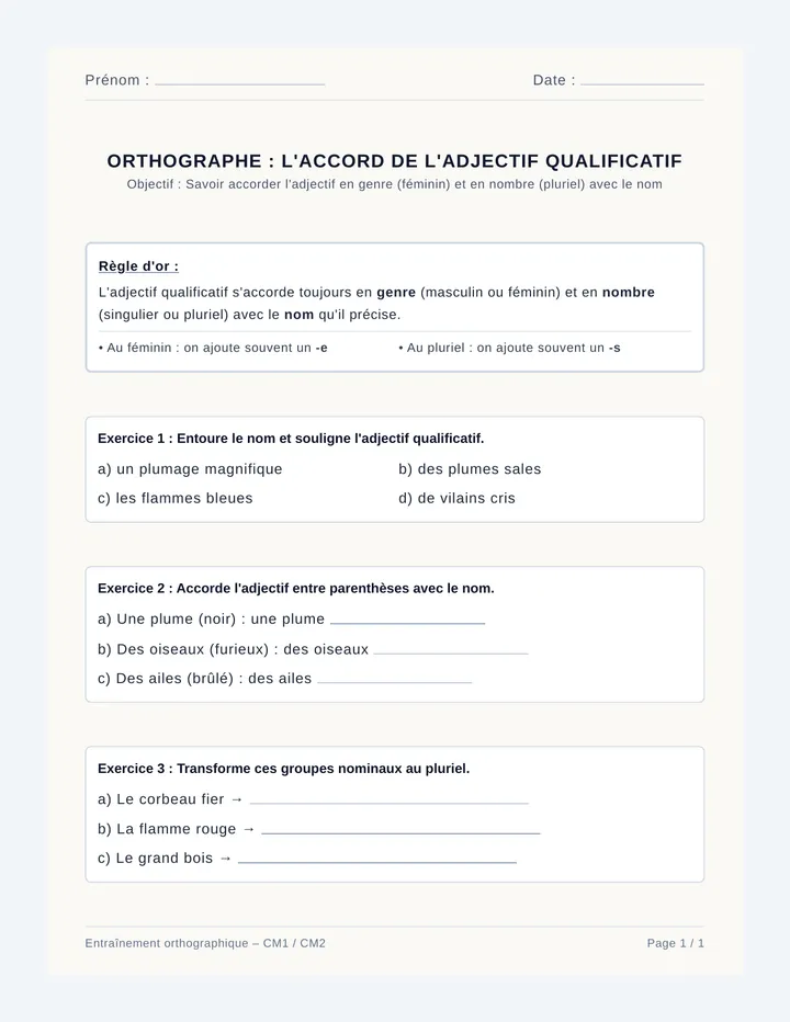 Accord Adjectif Fiche Exercices