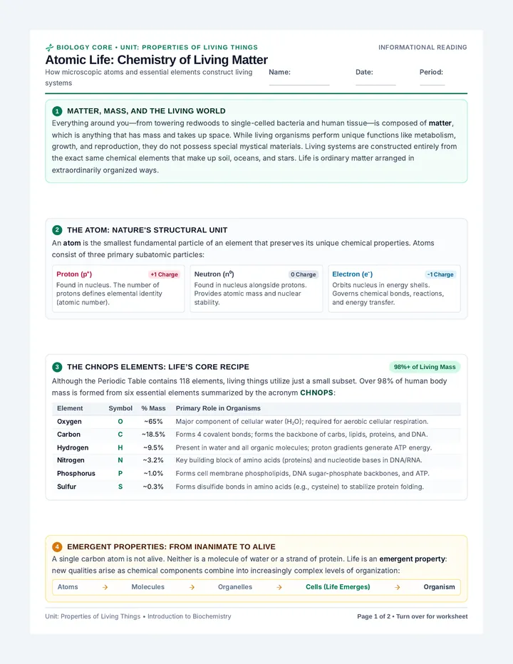 Atomic Life Reading Worksheet