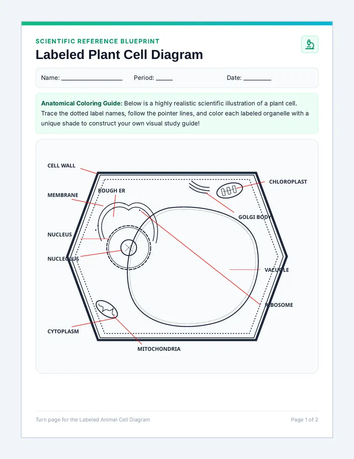 Cell Blueprints Labeled Coloring Sheet