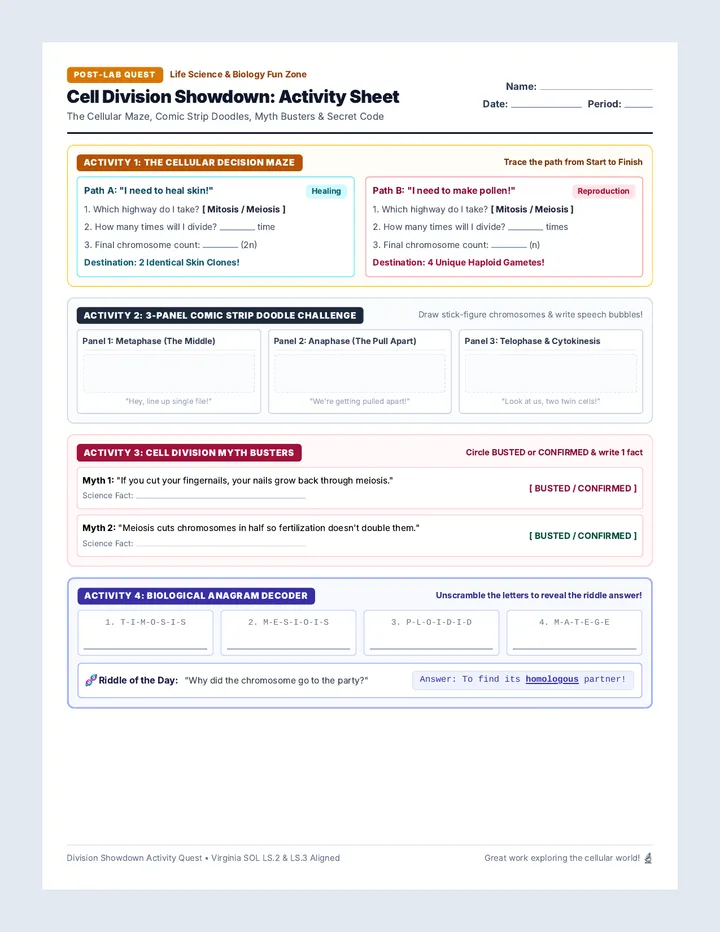Division Showdown Activity Sheet