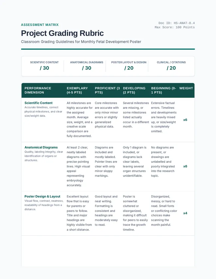 Fetal Development Grading Rubric