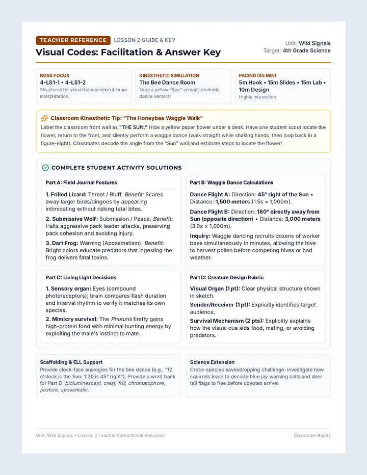 Visual Codes Teacher Guide