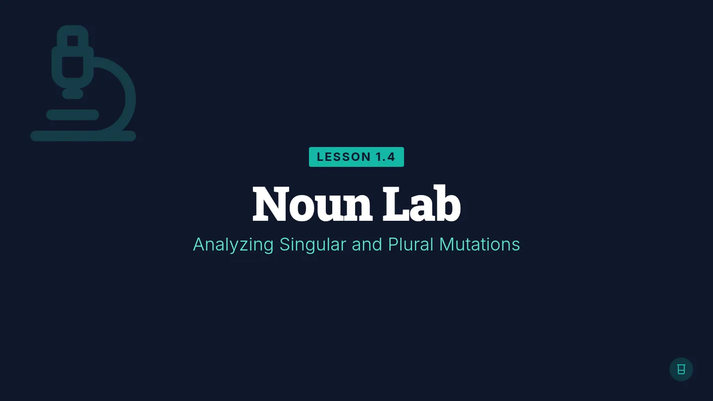 Noun Lab Slides