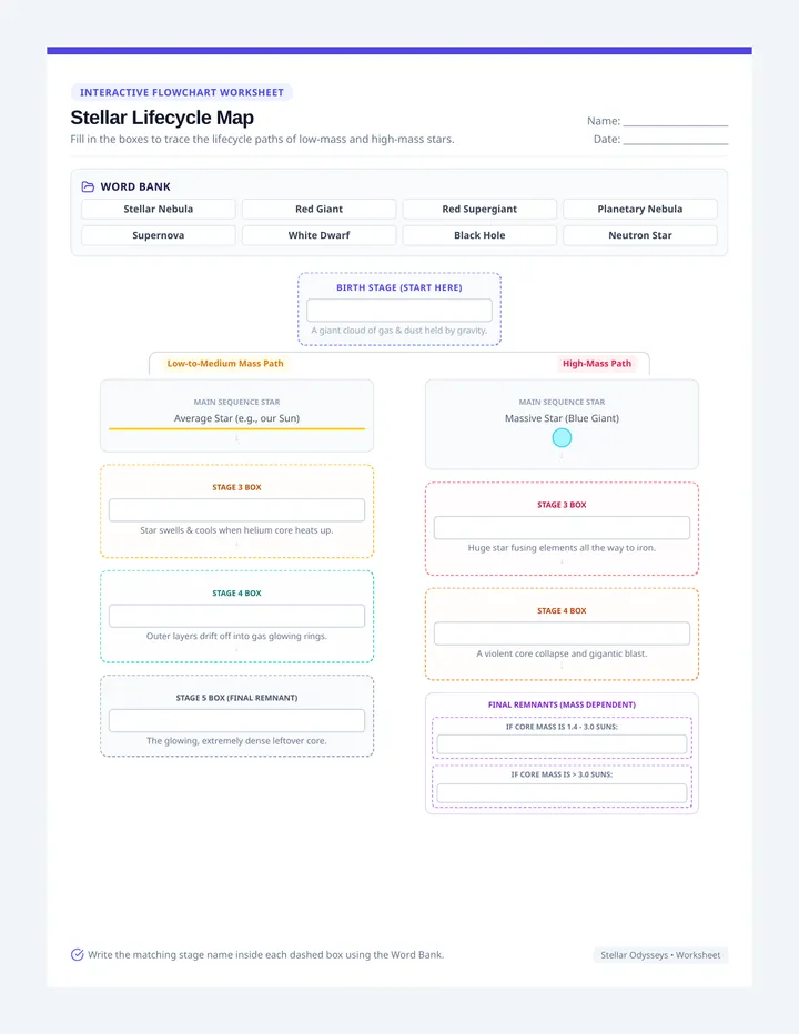Stellar Lifecycle Graphic Organizer