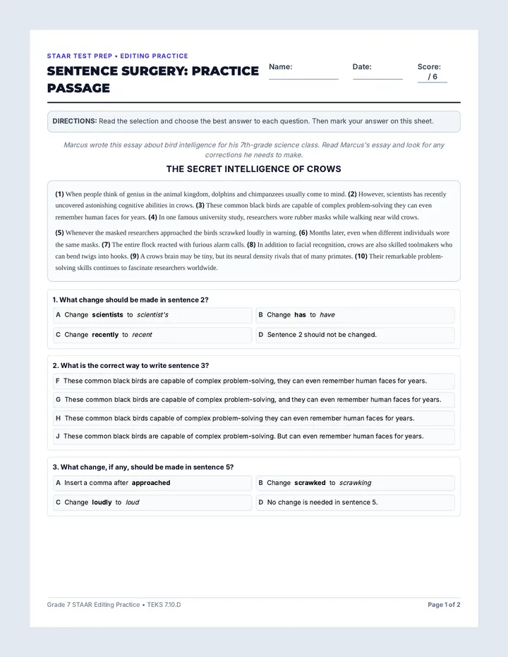 Sentence Surgery Practice Passage