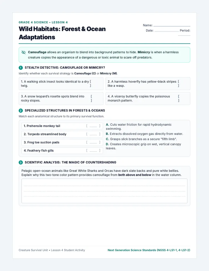 Wild Habitats Worksheet