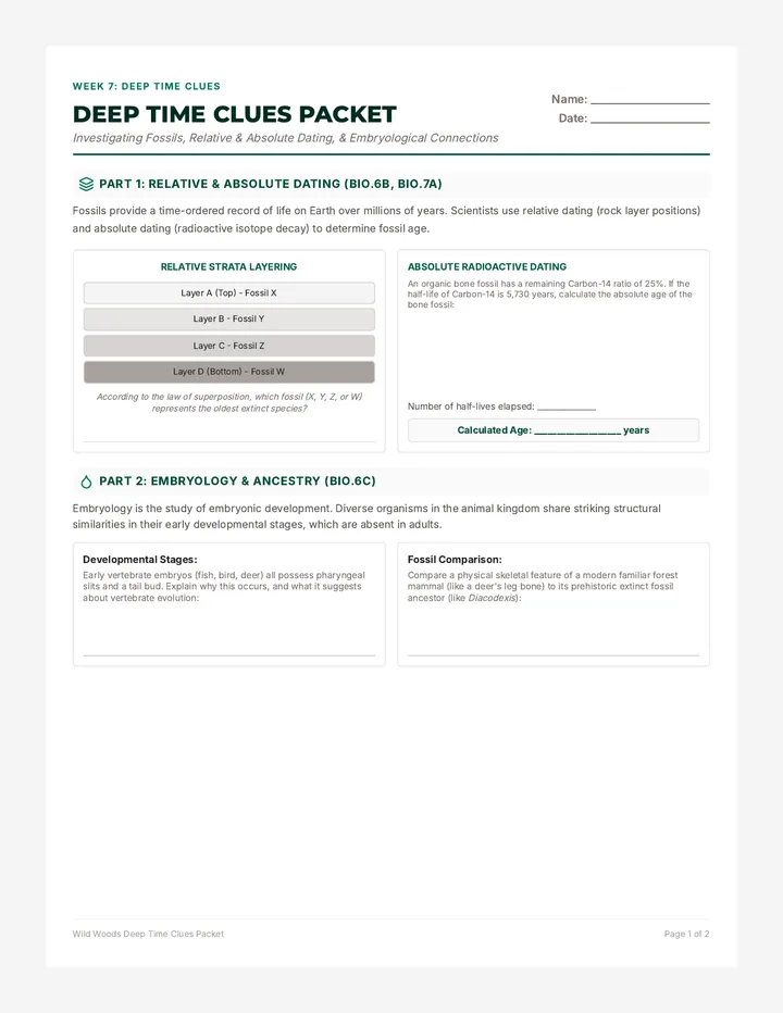 Deep Time Clues Packet
