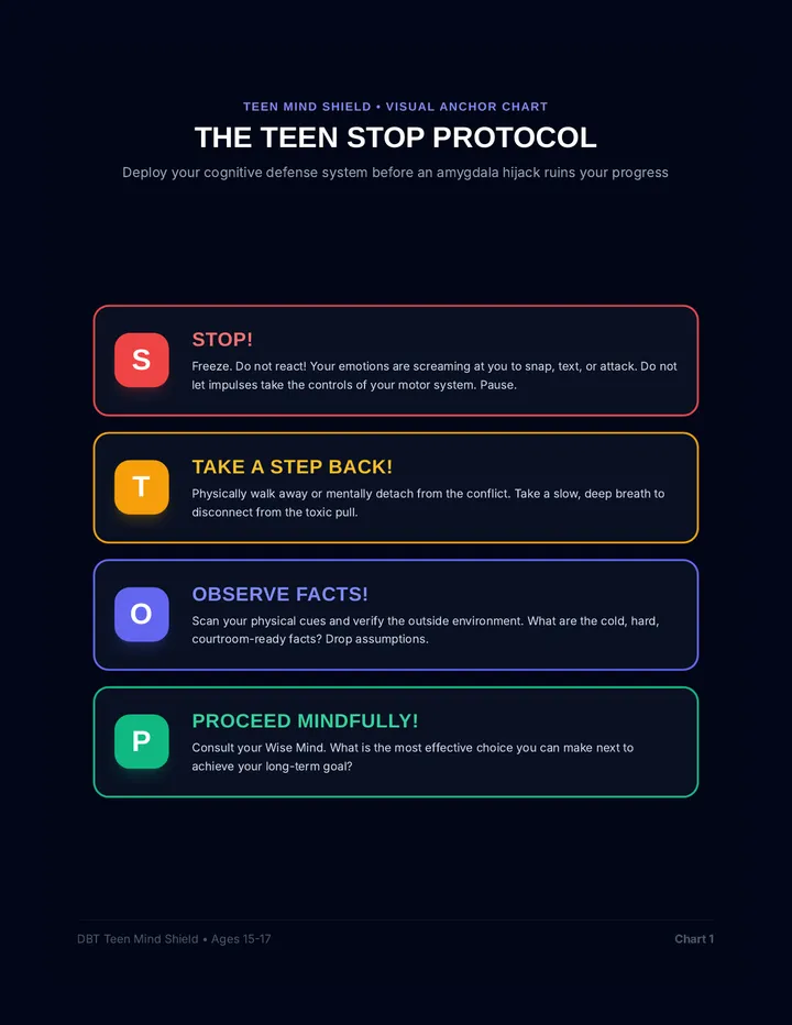 Teen Distress Tolerance Anchor Charts