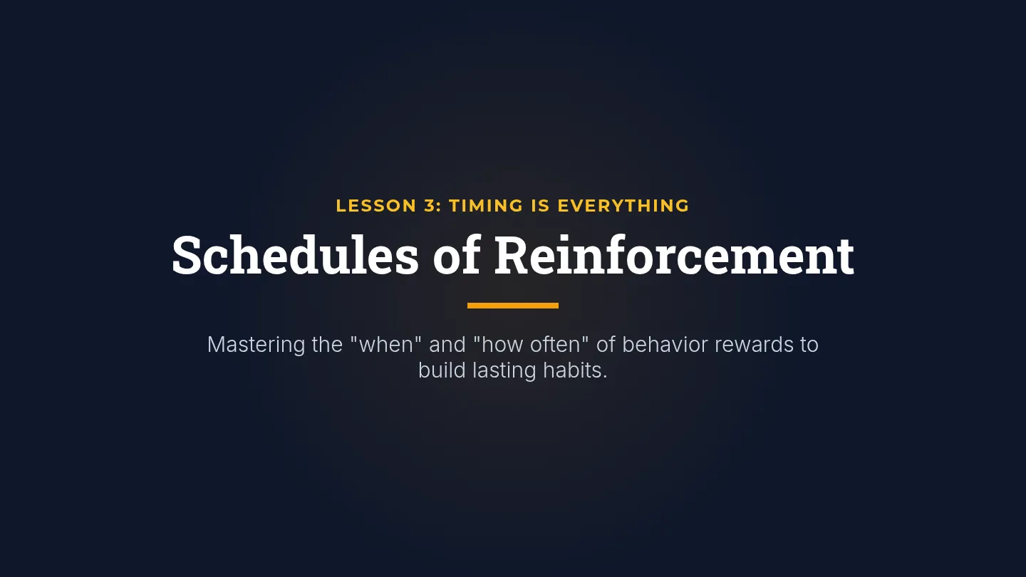 Reinforcement Schedules Slides