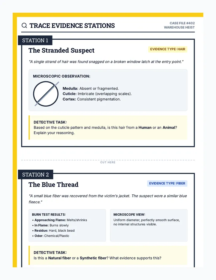 Trace Evidence Stations Cards