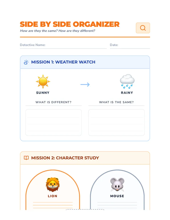 Side By Side Organizer