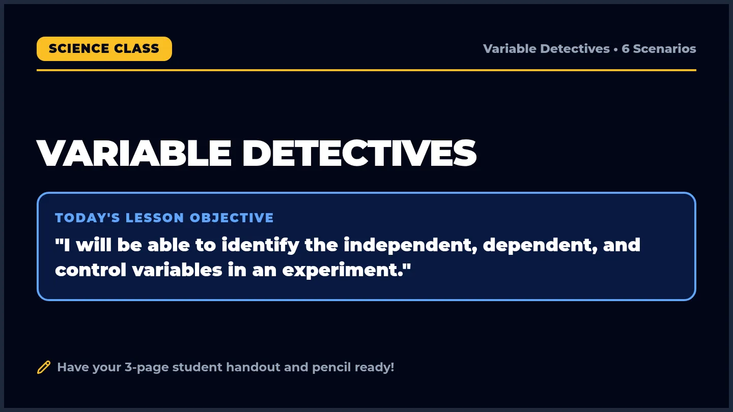 Variable Detectives Slides