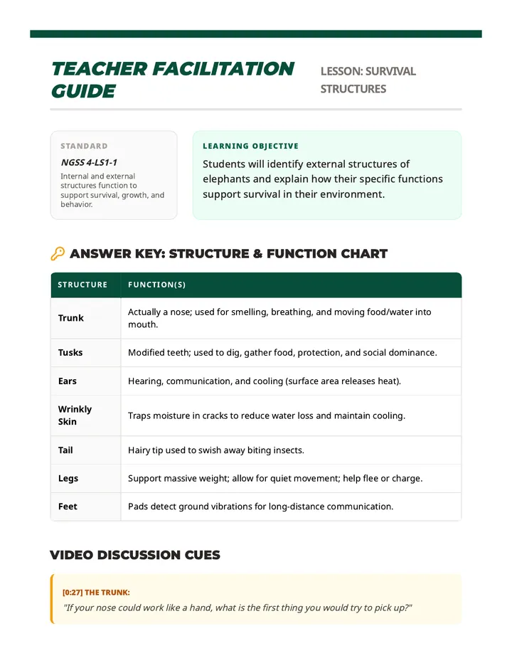 Elephant Explorer Teacher Guide