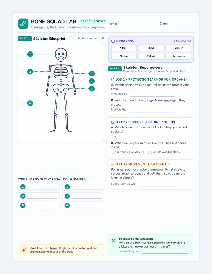 Bone Squad Worksheet