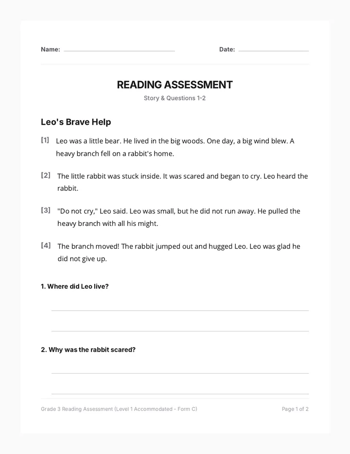 Leo Brave Help Assessment