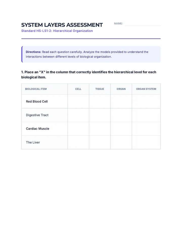 System Layers Assessment Worksheet