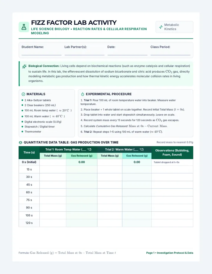 Fizz Factor Lab Activity