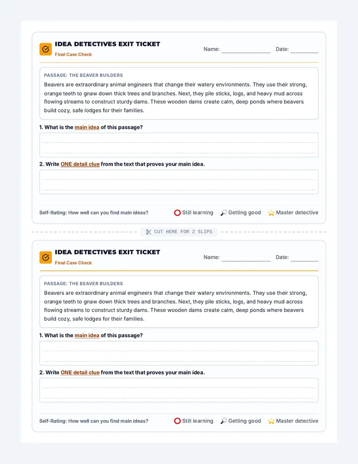 Idea Detectives Exit Ticket