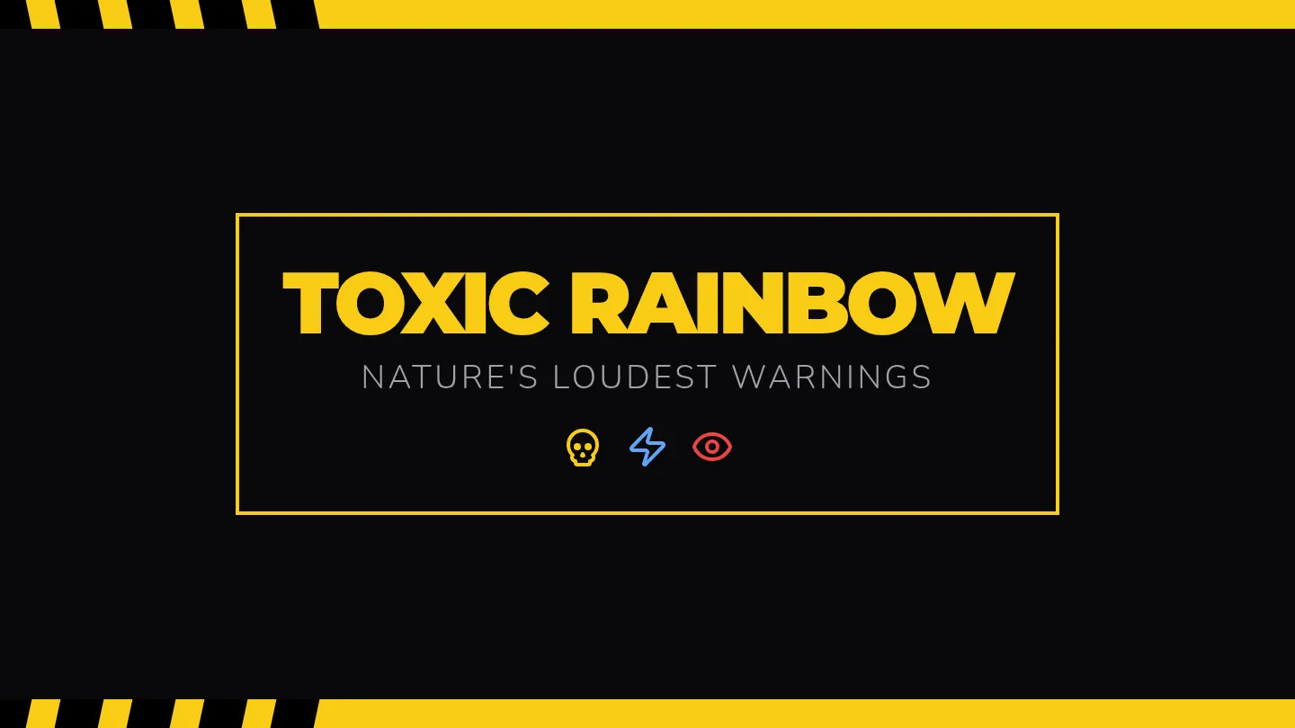 Toxic Rainbow Slides