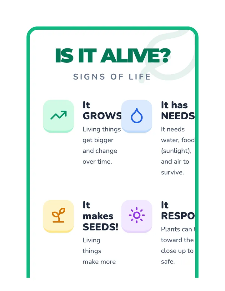 Living Things Anchor Chart Poster