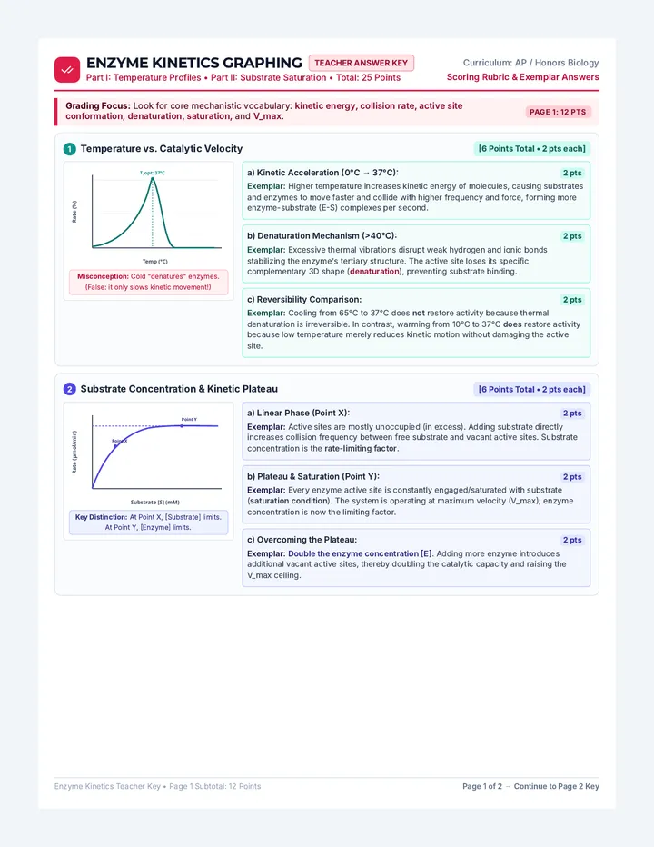 Enzyme Curves Answer Key
