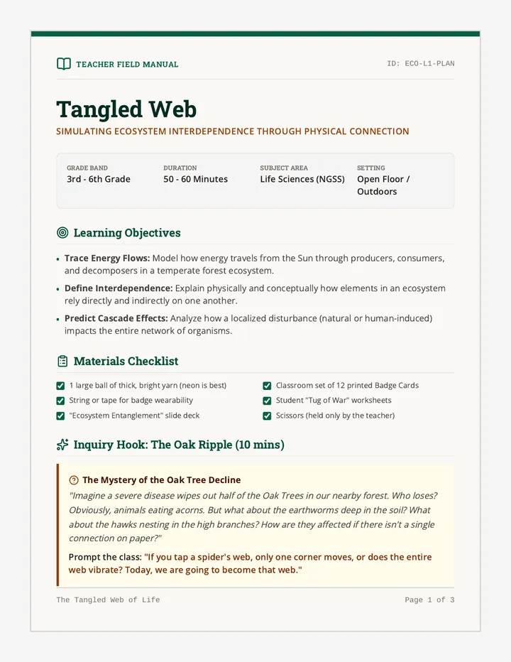 Tangled Web Lesson Plan