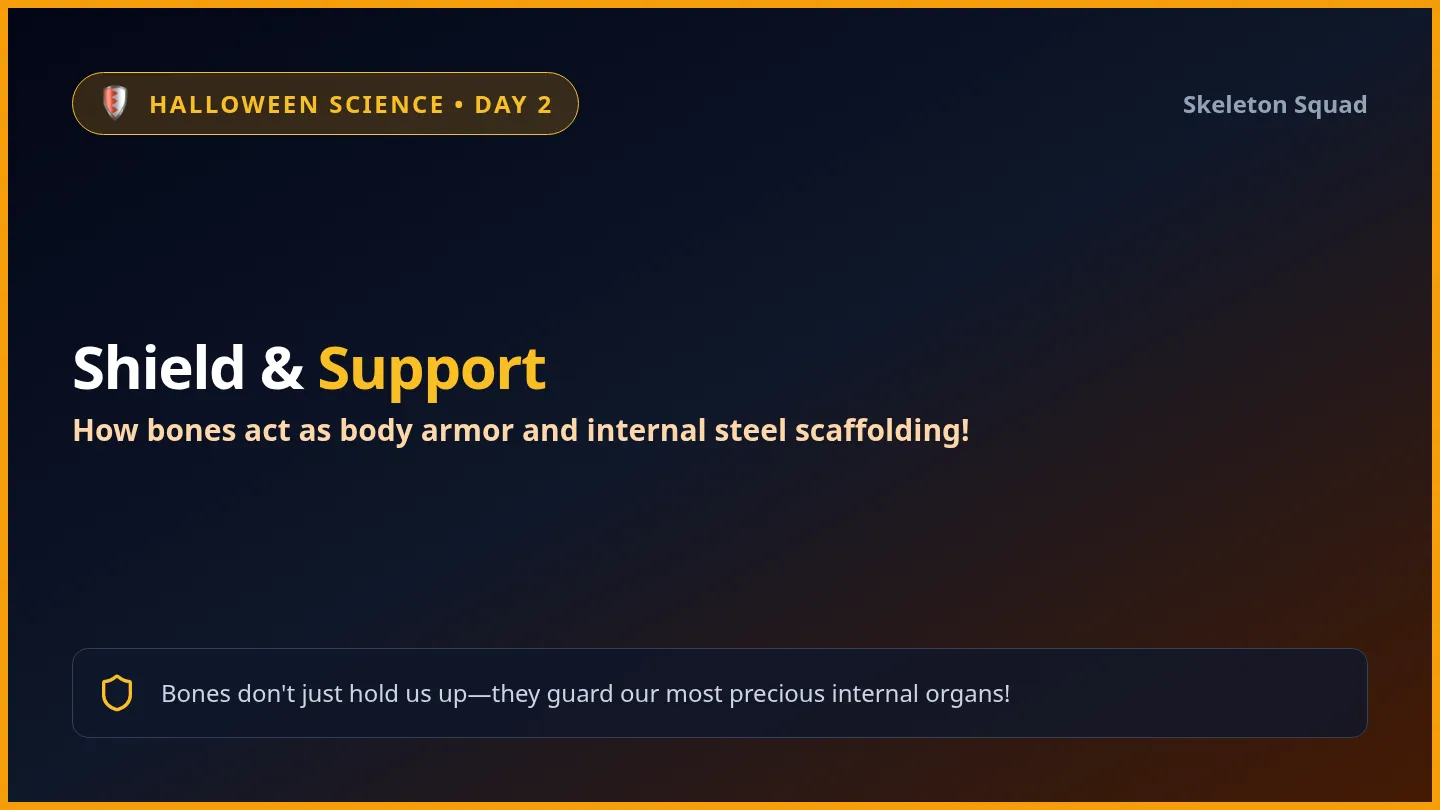 Shield Support Slides