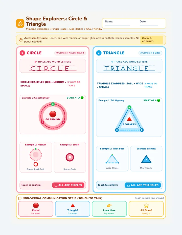 Shape Explorers Adapted Worksheet