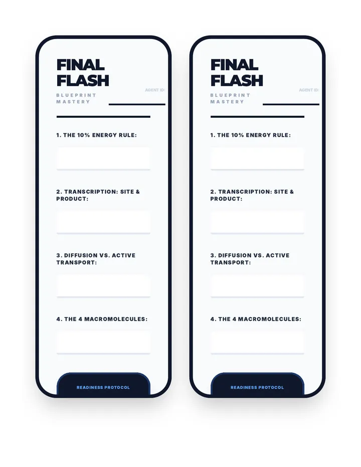 Final Flash Exit Ticket