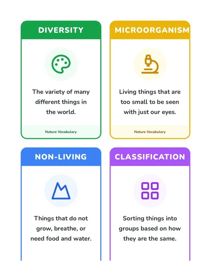 Nature Vocabulary Cards