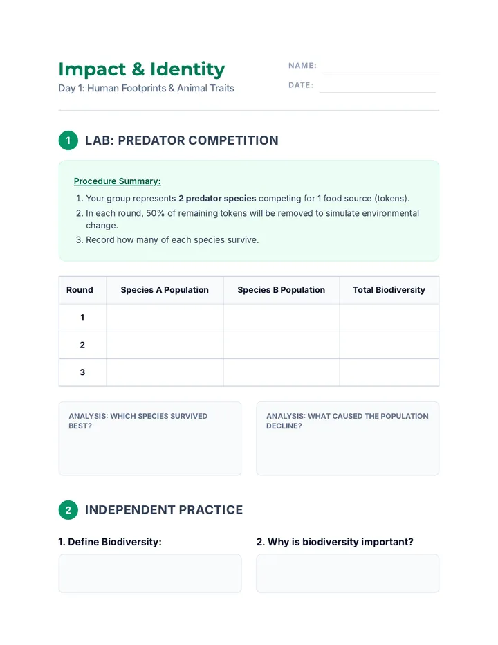 Impact & Identity Worksheet