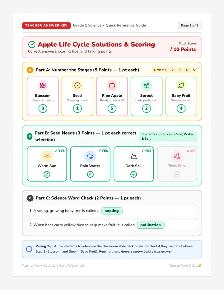 Apple Life Cycle Answer Key