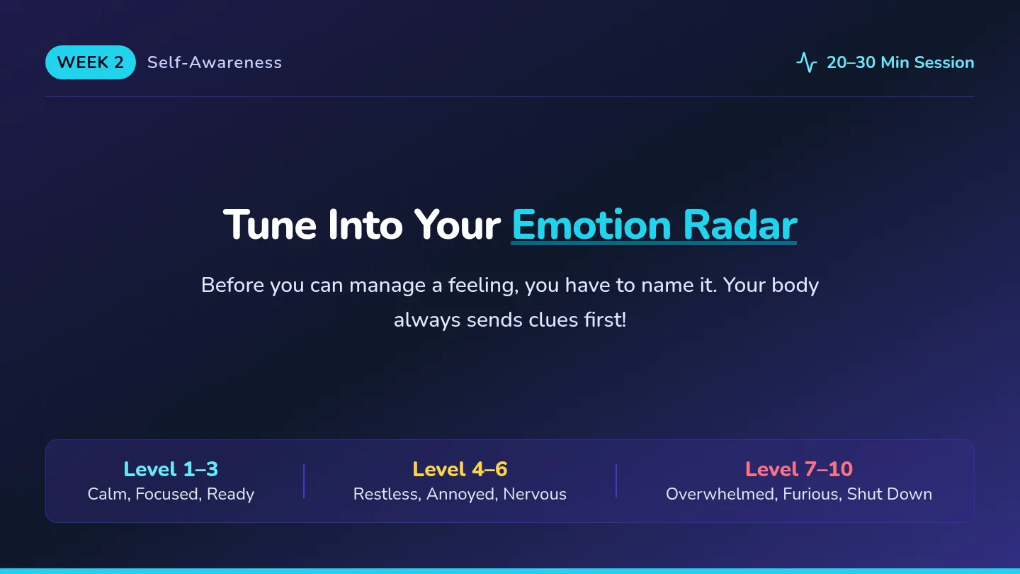 Emotion Radar Slides