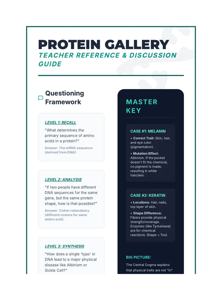 Protein Gallery Guide Teacher Resource