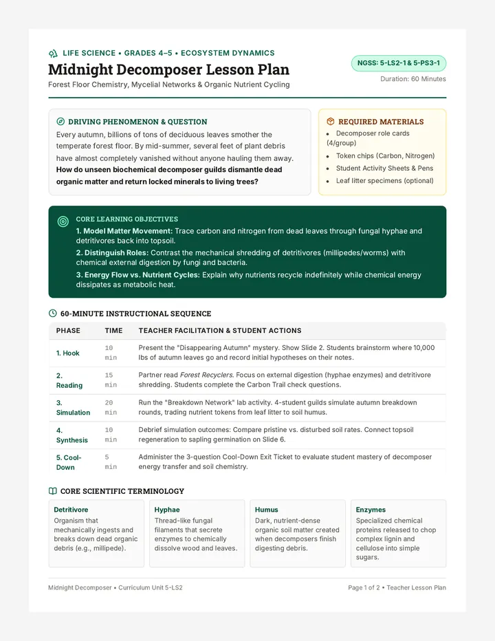 Midnight Decomposer Lesson Plan