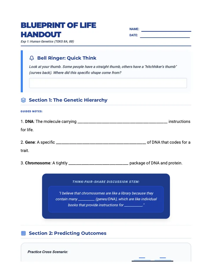 Blueprint Notes Handout