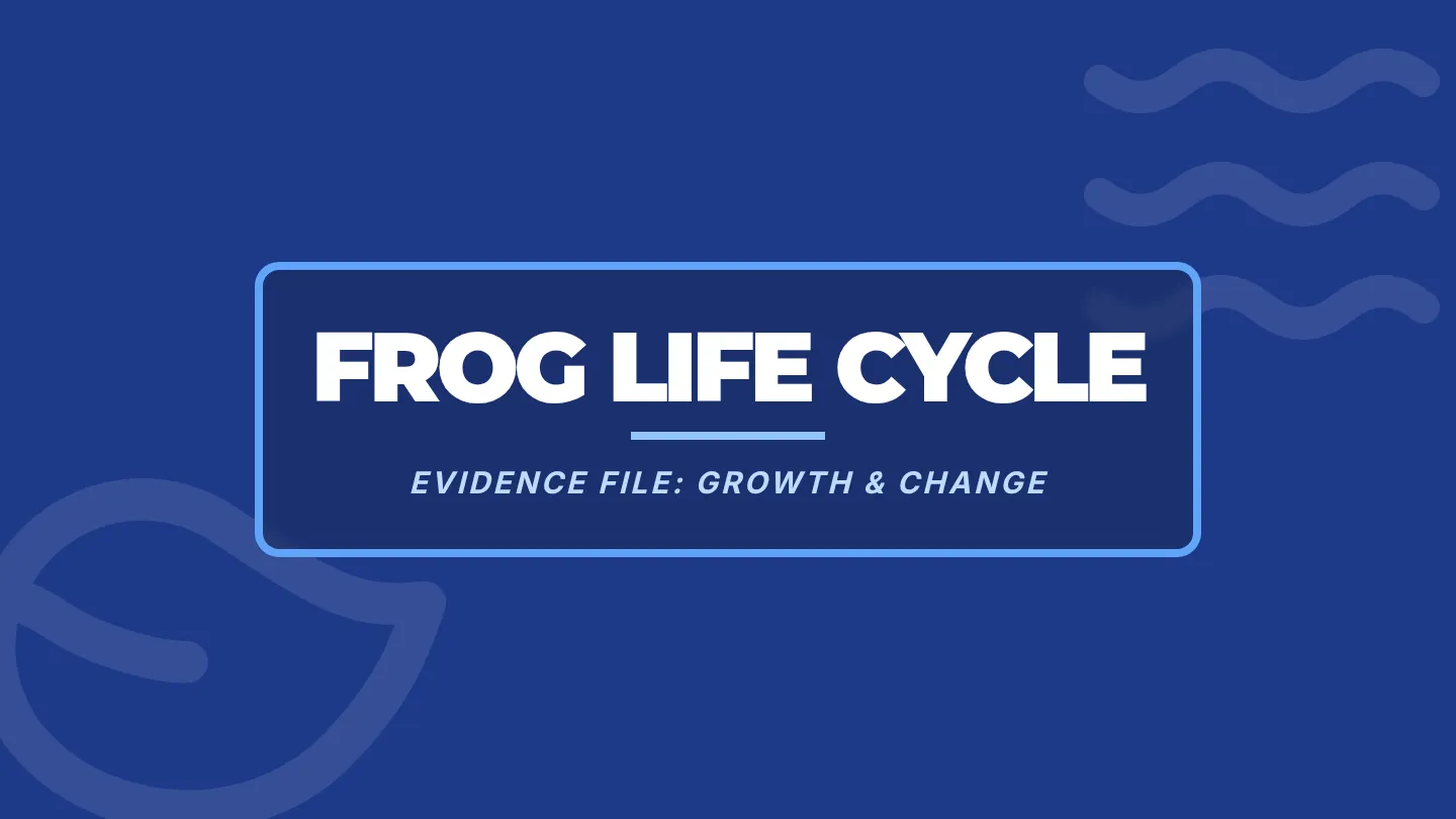 Frog Life Cycle Slide Deck