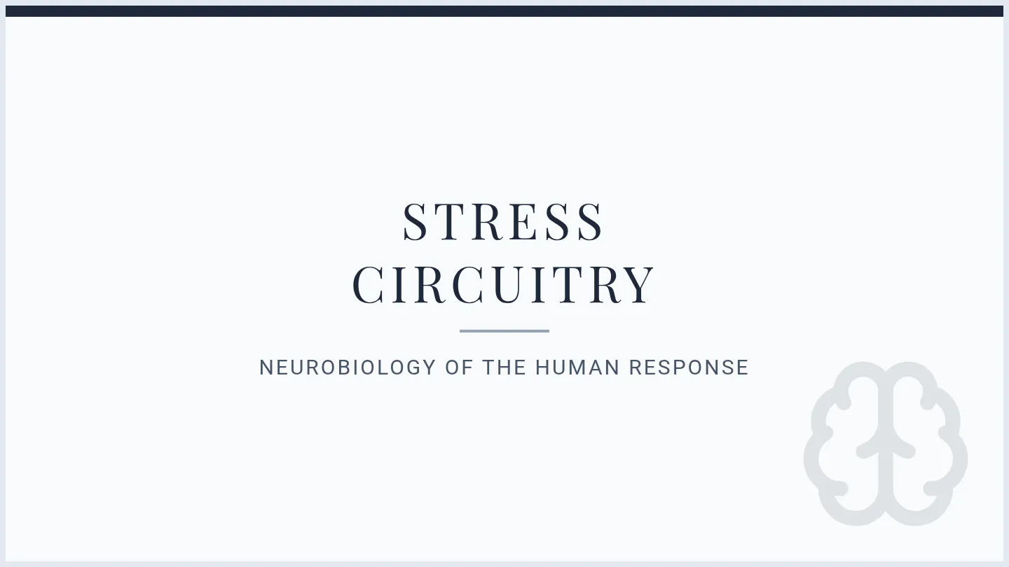 Stress Circuitry Slides