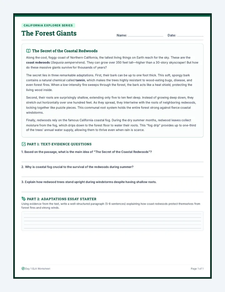 Forest Giants Reading Worksheet